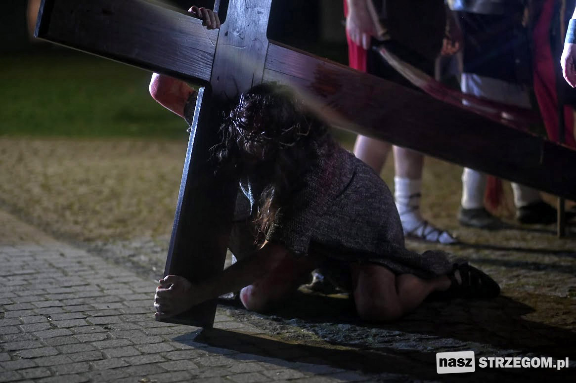 „Posłuszny aż do śmierci” - misterium męki Pańskiej w Strzegomiu [FOTO] 